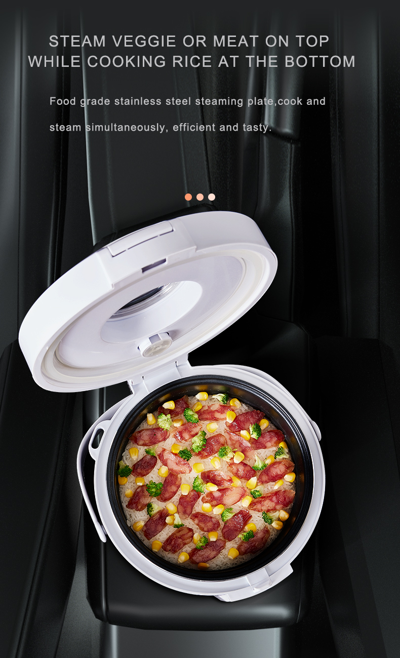 24V Rice Cooker  Truck Soup St - đánh giá và giá Camping Cooking Meals