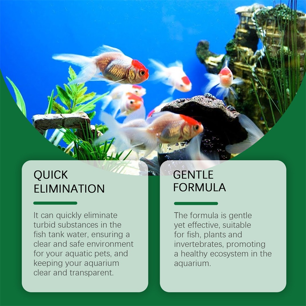 Water Purification Tablets Eco - đánh giá và giá Water Purification Tablet