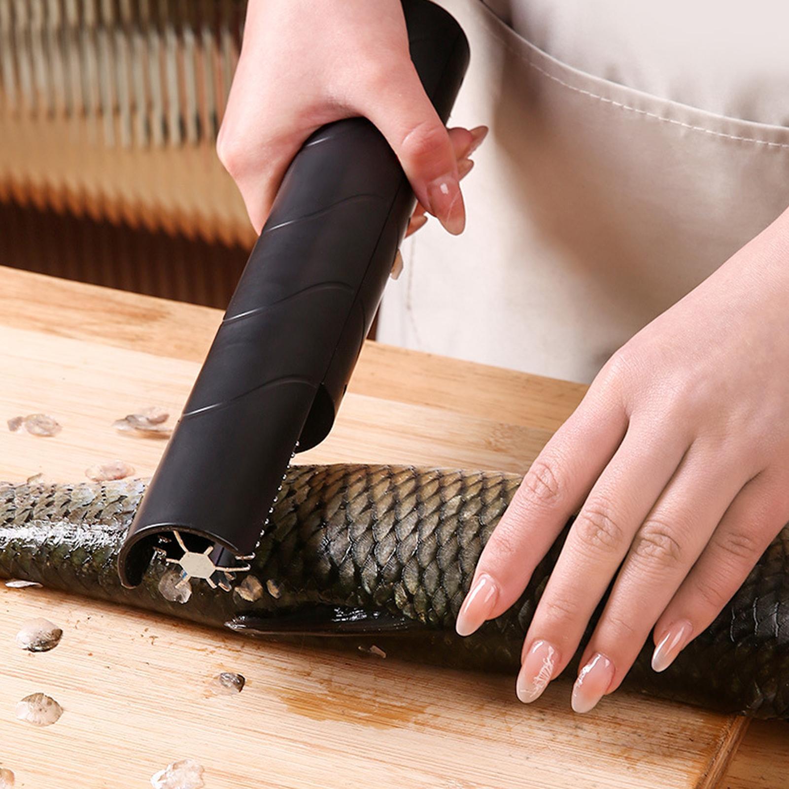 Fish Scaler Cordless Handheld  - đánh giá và giá Camping Cooking Meals