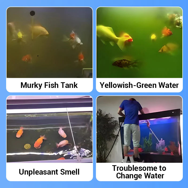 Eco-Friendly Aquarium Water Pu - đánh giá và giá Water Purification Tablet