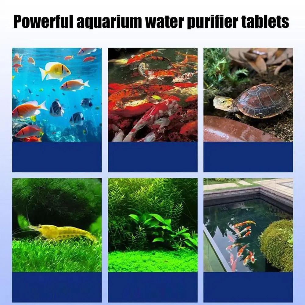 Powerful Water Purification Ta - đánh giá và giá Water Purification Tablet